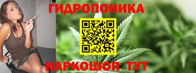apvp Владивосток