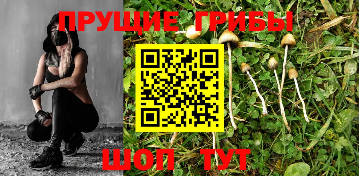 Псилоцибиновые грибы мухоморы Скопин