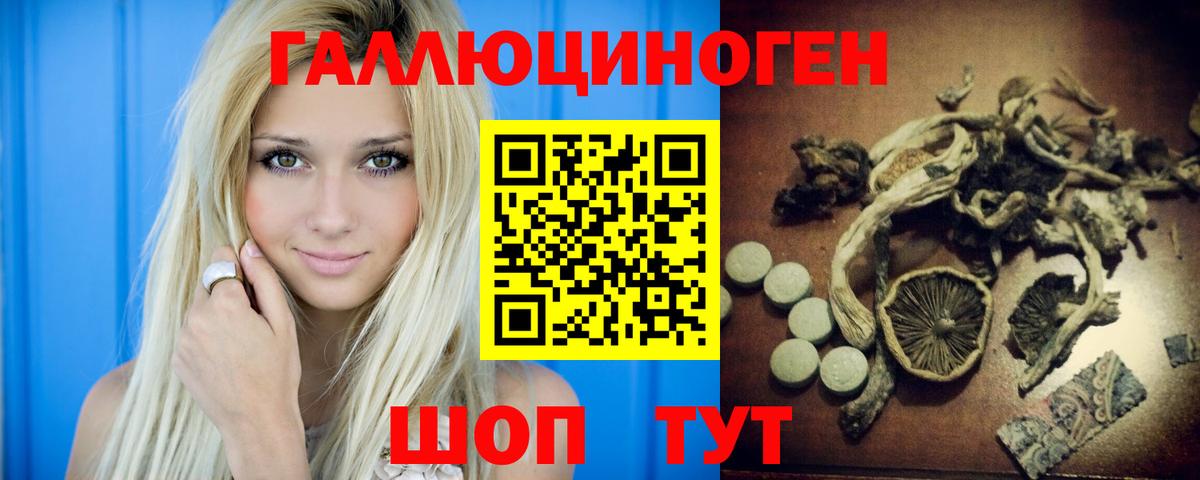 Псилоцибиновые грибы Psilocybe  Вход с VPN  Скопин 